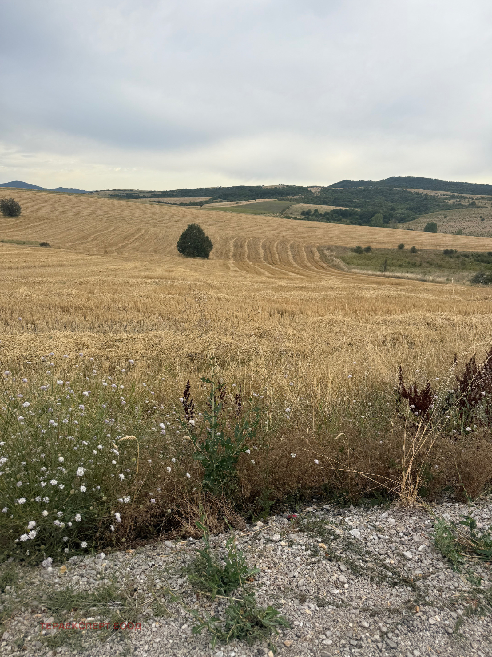 Продава ПАРЦЕЛ | Imot.bg — изображение 4