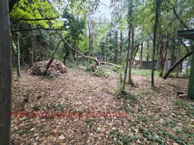 ����� ������� ������,���� �����, �.�.����������� 3 ����