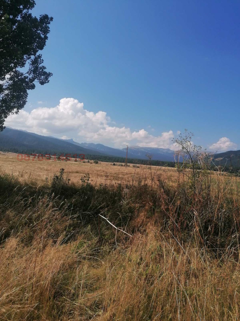 Til salg  Grund region Sofia , Govedartsi , 2176 kvm | 78088222 - billede [3]