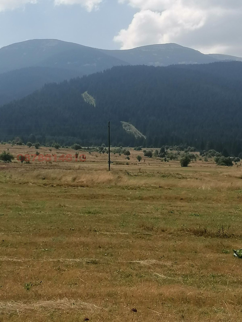 Til salg  Grund region Sofia , Govedartsi , 2176 kvm | 78088222 - billede [7]