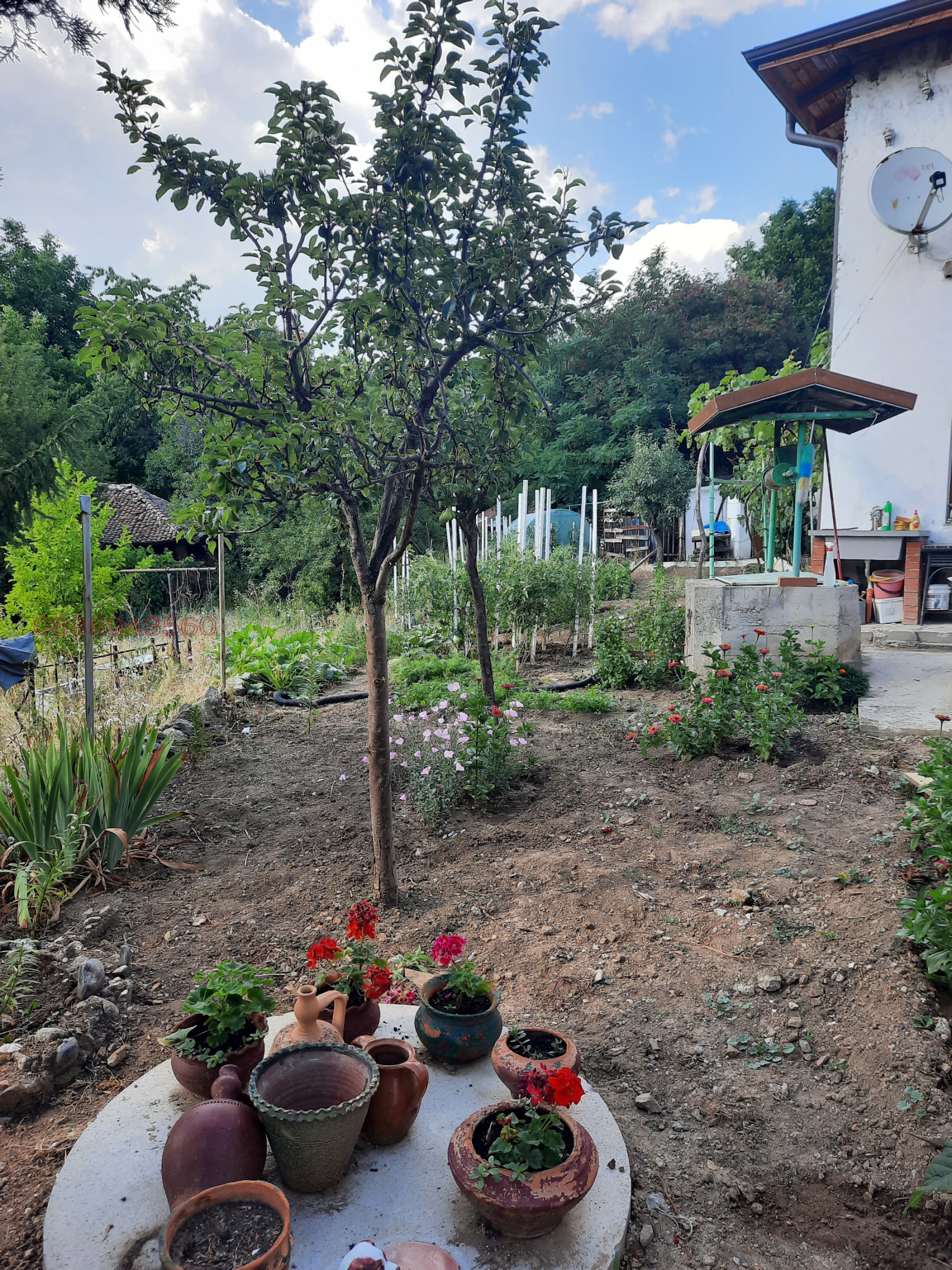 Продава КЪЩА, с. Дрен, област Перник, снимка 16 - Къщи - 53839676