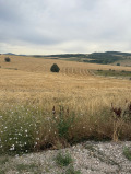 Продава ПАРЦЕЛ, област София, гр. Божурище • 22000 € • 18044606 — Holmes.bg
