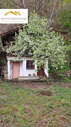 House Kotenovtsi, region Montana 4