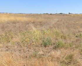 Handlung Kableschkowo, region Burgas 1