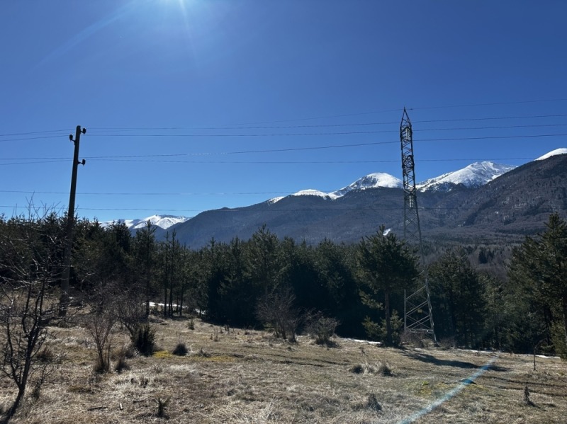 Продава ПАРЦЕЛ, гр. Разлог, област Благоевград, снимка 10 - Парцели - 52718917