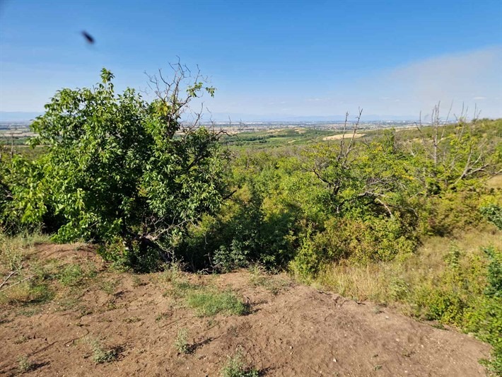 Προς πώληση  Γη περιοχή Plovdiv , Βρεστοβητσα , 1 dka | 63337789 - εικόνα [2]