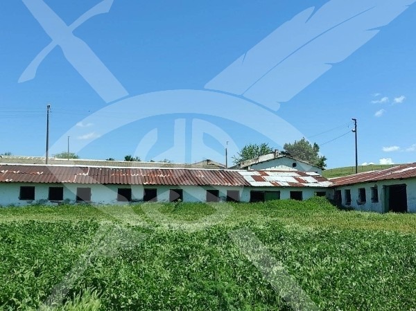 Продава БИЗНЕС ИМОТ, гр. Карнобат, област Бургас, снимка 2 - Други - 52649762