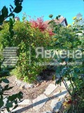 Продава  Къща област Варна , с. Приселци , 154 кв.м | 99653477 - изображение [13]