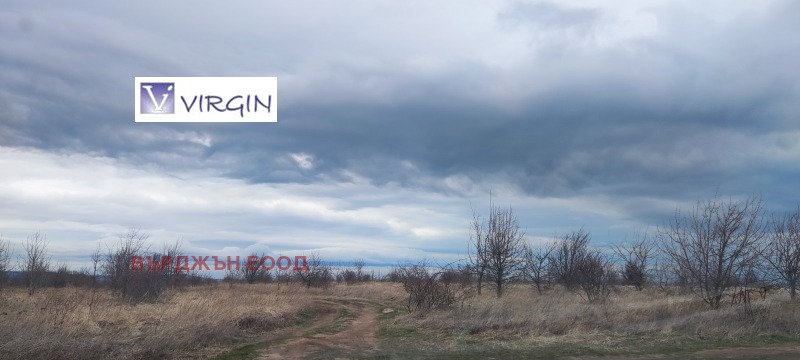 For Sale  Plot Varna , Galata , 3905 sq.m | 97048235 - image [7]