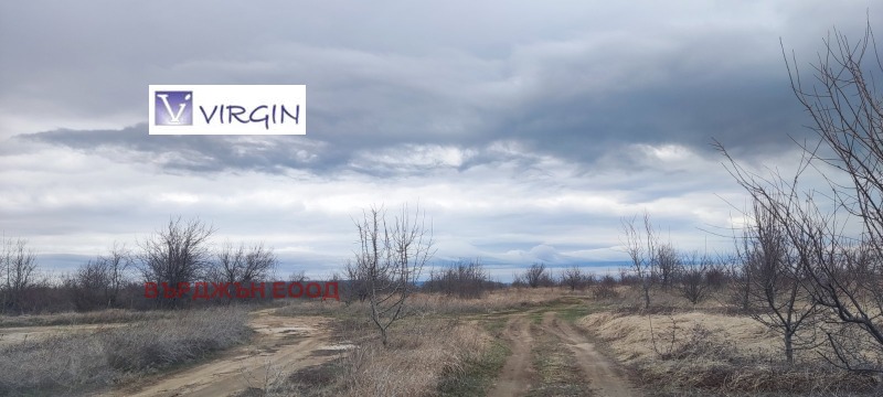 For Sale  Plot Varna , Galata , 3905 sq.m | 97048235 - image [9]