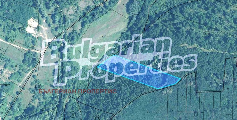 Продава ЗЕМЕДЕЛСКА ЗЕМЯ в област Видин, с. Лагошевци - 12 дка / 7 200 € » 14 081.98 лв., БЪЛГЕРИАН ПРОПЕРТИС