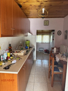 ����� ������� ����,�����, ������