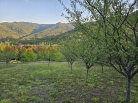 Plot Troyan, region Lovech 3