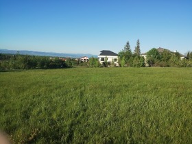 Plott Bankja, Sofia 6