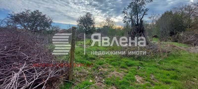 Продава КЪЩА, с. Гюльовца, област Бургас, снимка 4 - Къщи - 43172700