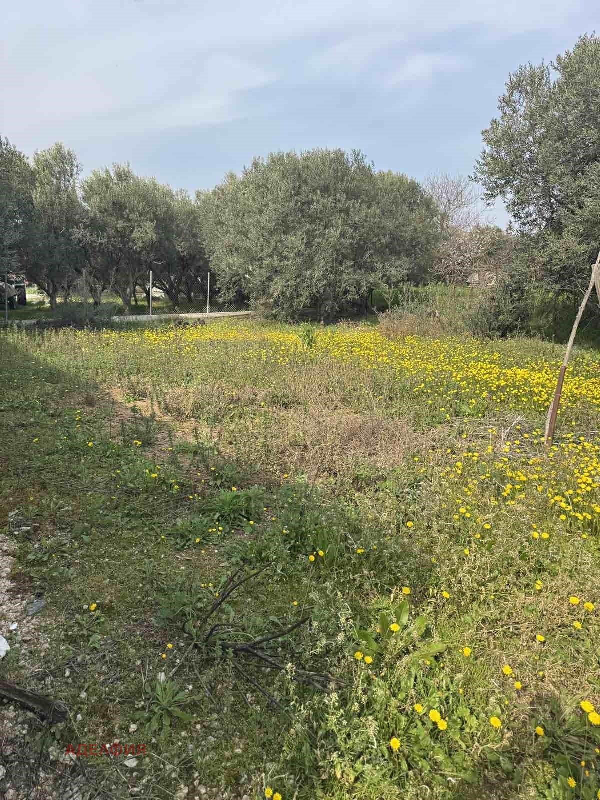 Продава КЪЩА, Извън страната, област Извън страната, снимка 6 - Къщи - 53739206