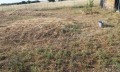 Продава ПАРЦЕЛ, Гърция, Халкидики • 78000 € / 152554.74 лв. • 97715423 2