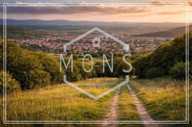 ����� ������� ������,��. ��������, ������ �������