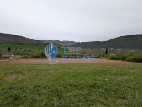 ����� ������� ������,�. ���������, ������ ������ �������