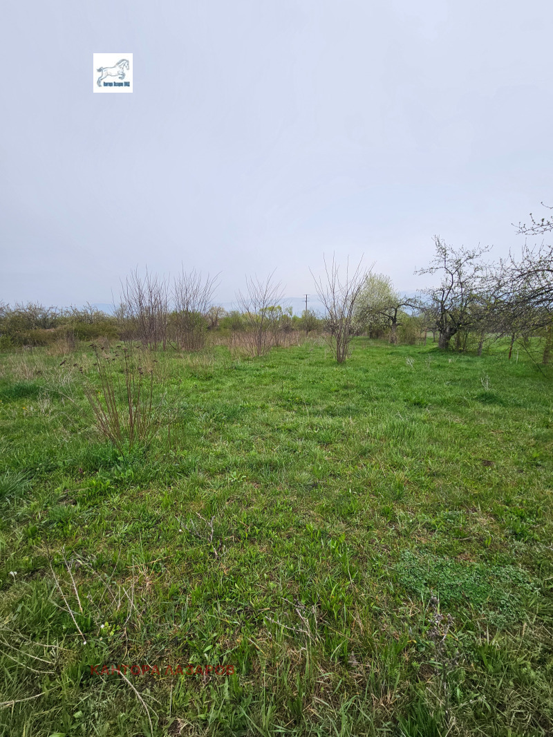 Til salgs  Land region Kyustendil , Sapareva banja , 3250 dka | 62793038