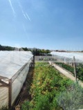 Продава КЪЩА, с. Куртово Конаре, област Пловдив, снимка 10