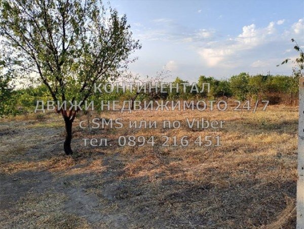 ������� ������ | Imot.bg � ����������� 5