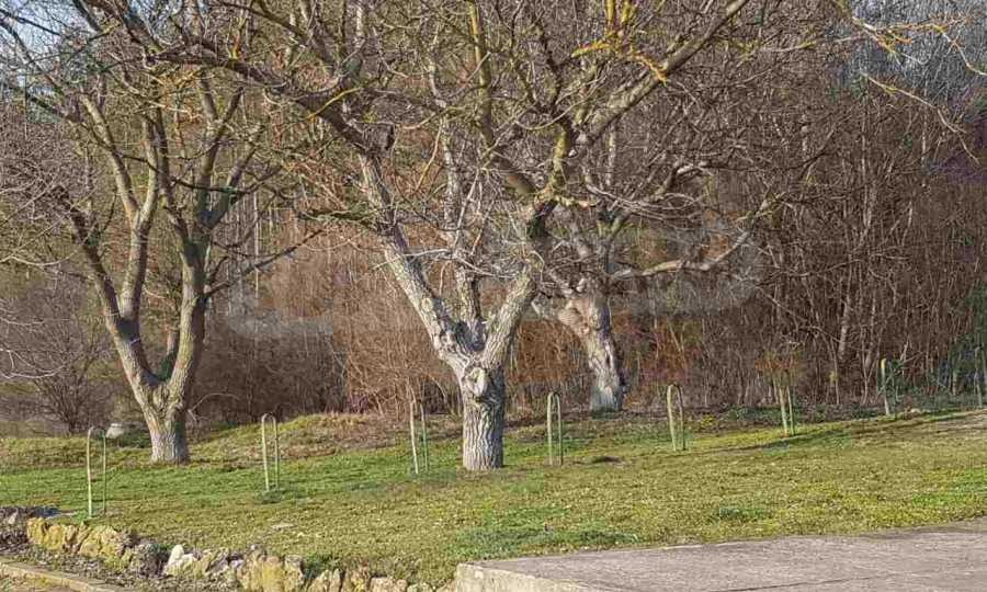 Продава ПАРЦЕЛ | Imot.bg — изображение 4