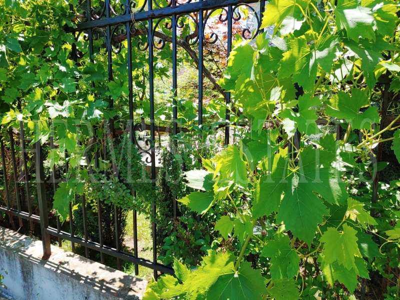 De vânzare  2 dormitoare Sofia , Ovcia cupel , 75 mp | 26250282 - imagine [13]