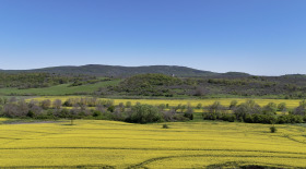 Парцел град Бургас, Банево