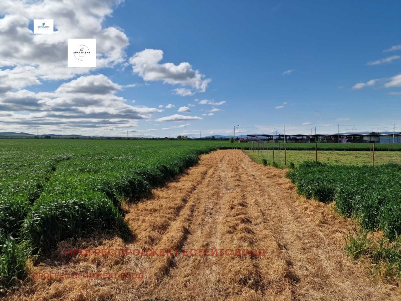 À venda  Trama região Sófia , Bojurichtche , 1246 m² | 49163249