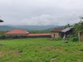 Продава КЪЩА, област Габрово, гр. Дряново • 220000 € • 24638365 — Holmes.bg