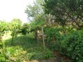 Продава КЪЩА, област Велико Търново, с. Куцина • 23000 € • 84449571 — Holmes.bg