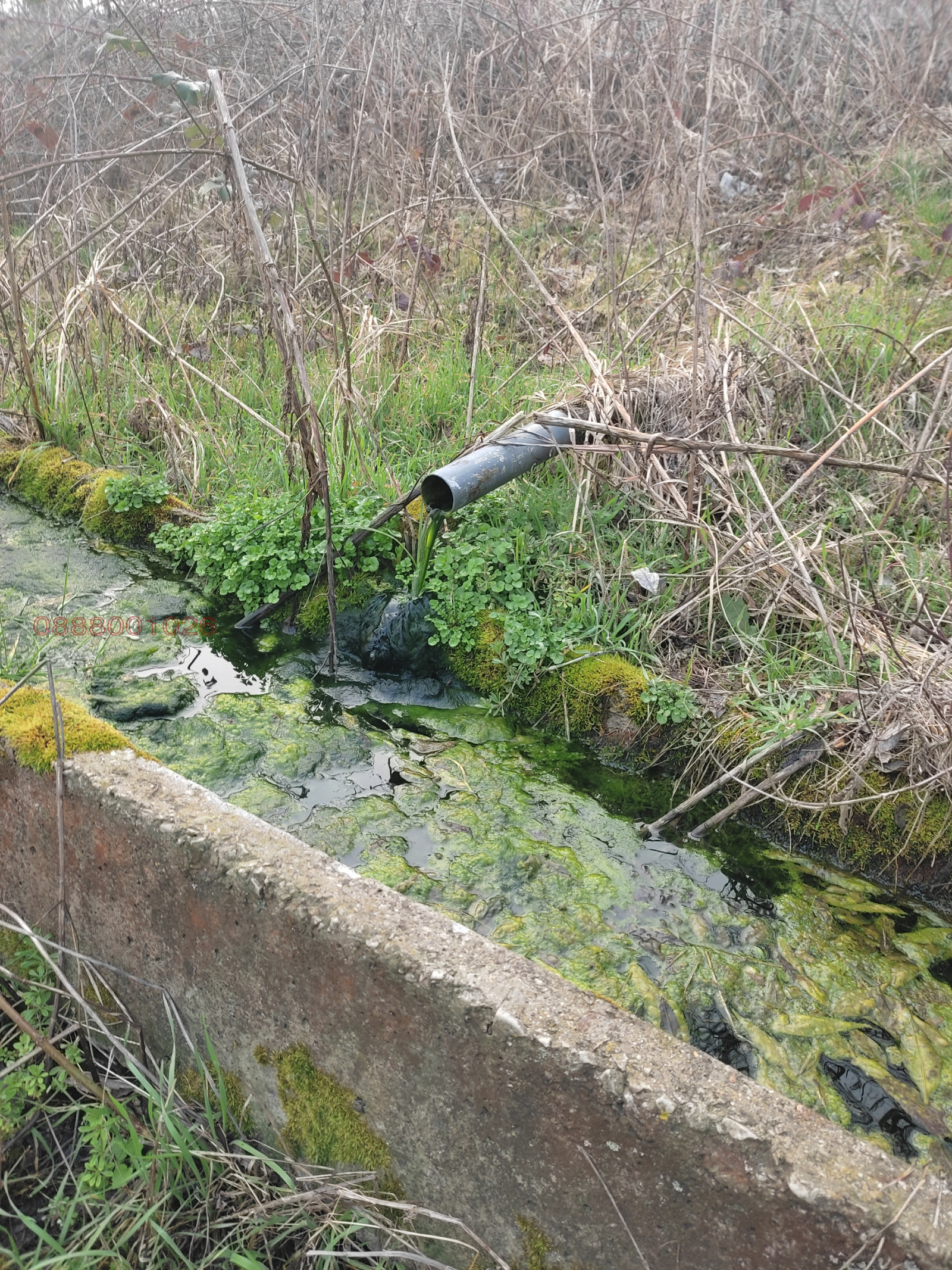 ������� ���������� ���� | Imot.bg � ����������� 7