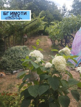   | Imot.bg    6