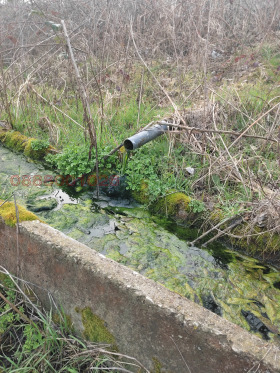 ������� ���������� ���� | Imot.bg � ����� ������ 7