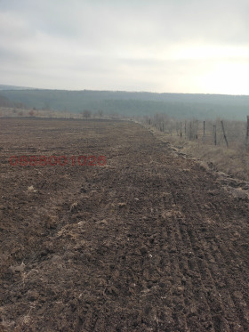 ������� ���������� ���� | Imot.bg � ����� ������ 5