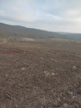 ������� ���������� ���� | Imot.bg � ����� ������ 6