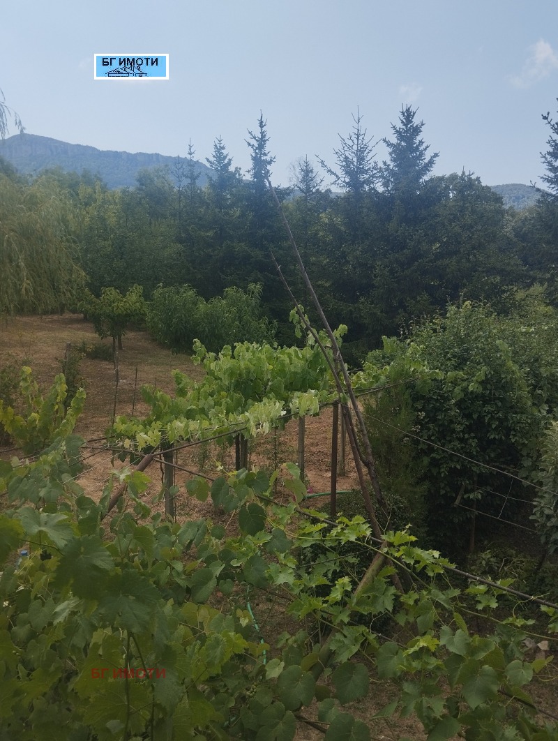 Продава  Вила град Враца , Студентски град , 40 кв.м | 51954054 - изображение [16]