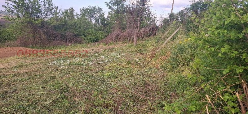 Продава ПАРЦЕЛ, с. Айдемир, област Силистра, снимка 4 - Парцели - 52783456