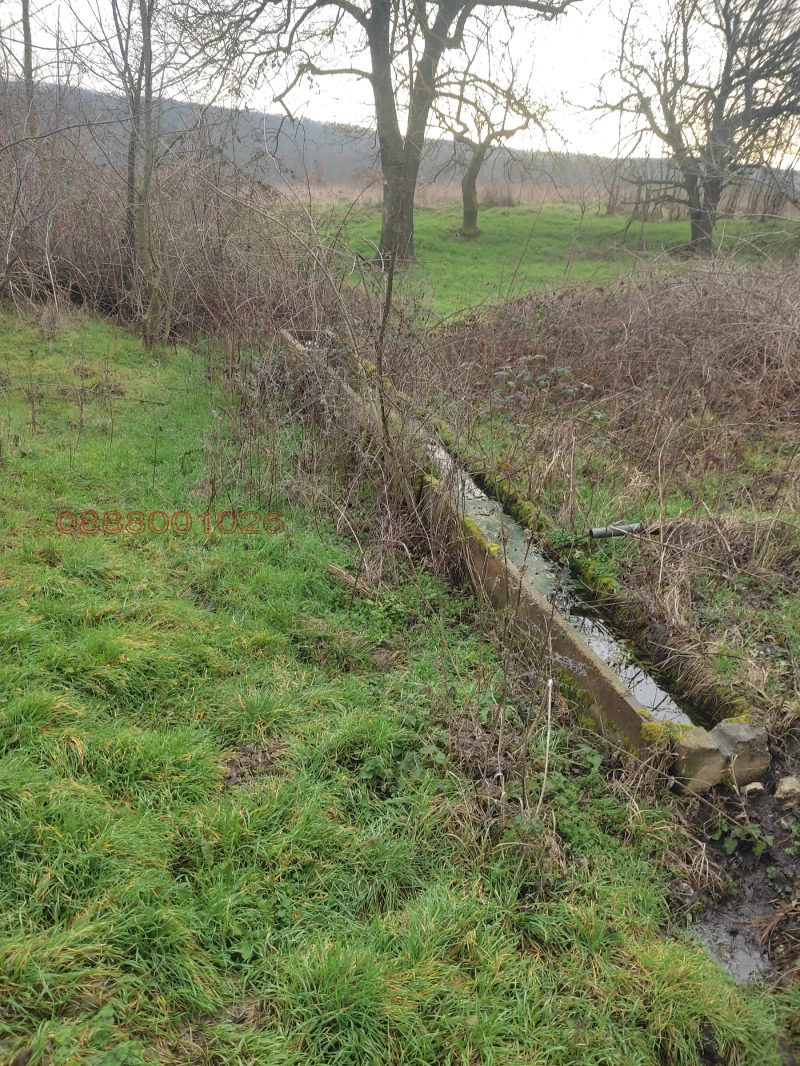 Продава ЗЕМЕДЕЛСКА ЗЕМЯ, с. Аврен, област Варна, снимка 6 - Земеделска земя - 53480317