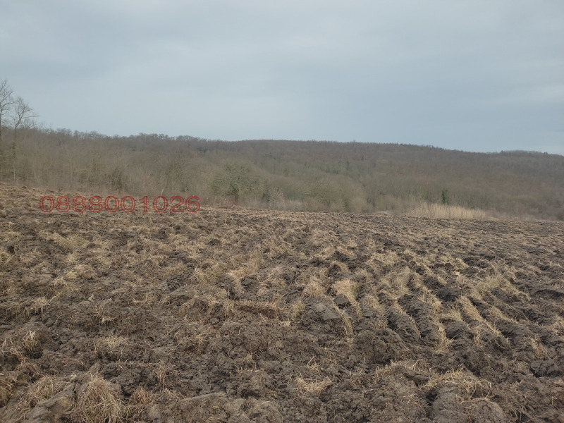 Продава ЗЕМЕДЕЛСКА ЗЕМЯ, с. Аврен, област Варна, снимка 8 - Земеделска земя - 53480317