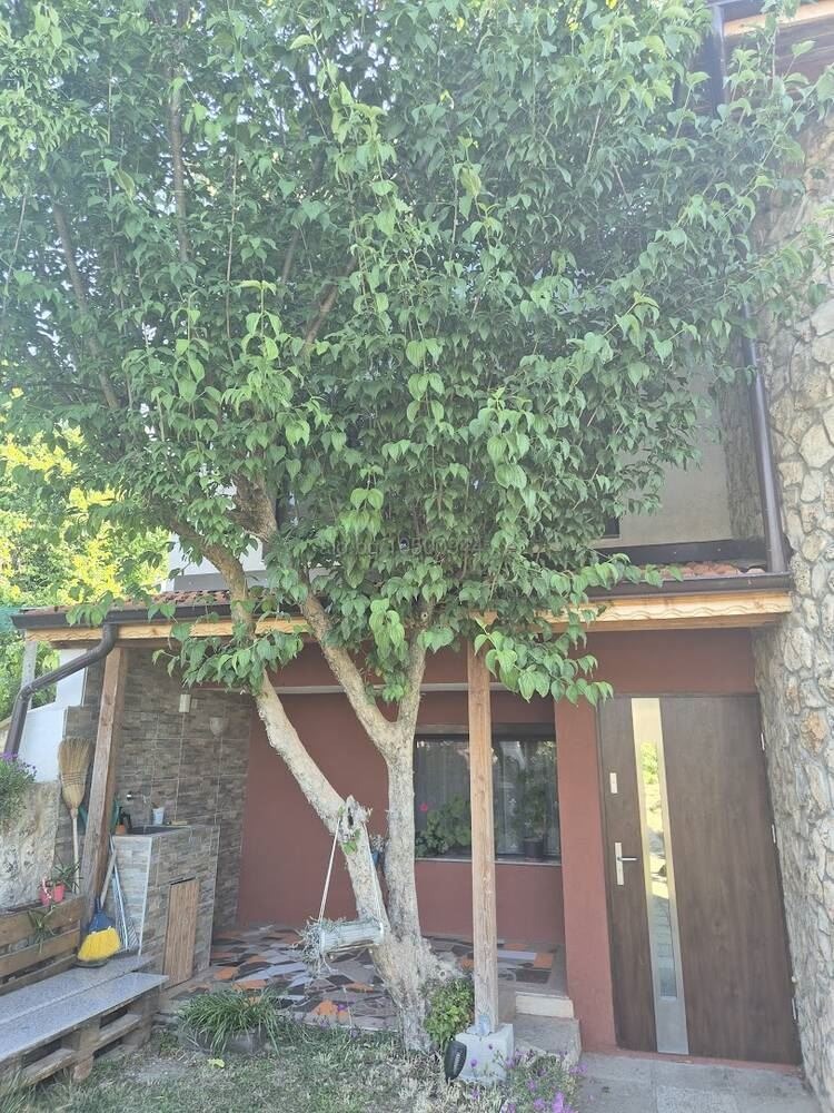 Προς πώληση  σπίτι Βαρνα , Βηνητσα , 289 τ.μ | 74049124 - εικόνα [13]