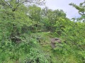 Продава  Къща област Силистра , гр. Тутракан , 55 кв.м | 57250319 - изображение [16]