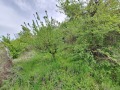 Продава  Къща област Силистра , гр. Тутракан , 55 кв.м | 57250319 - изображение [15]