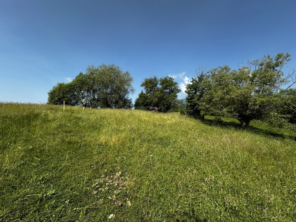 Продава ПАРЦЕЛ | Imot.bg — изображение 7