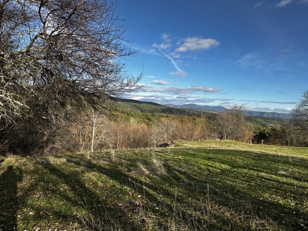 ������� ������ | Imot.bg � ����������� 4