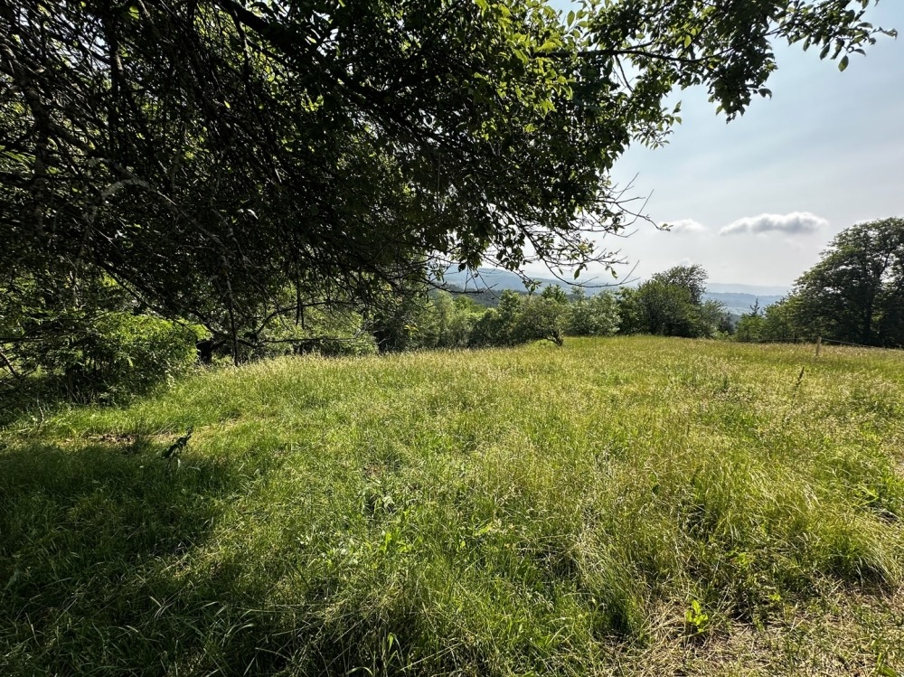 Продава ПАРЦЕЛ | Imot.bg — изображение 14