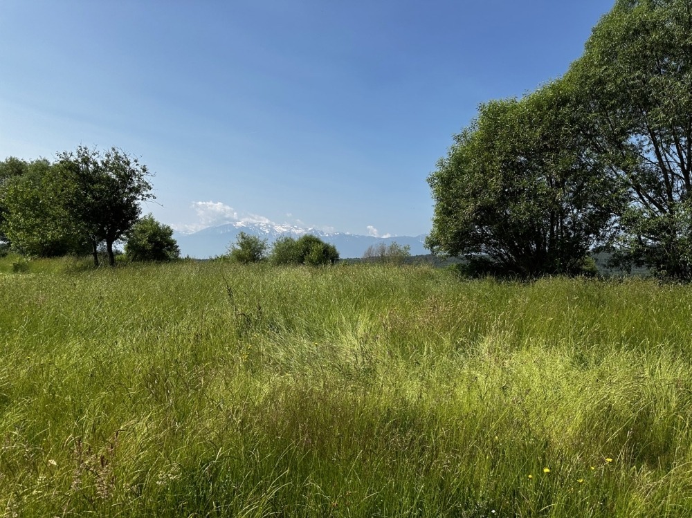 Продава ПАРЦЕЛ | Imot.bg — изображение 12