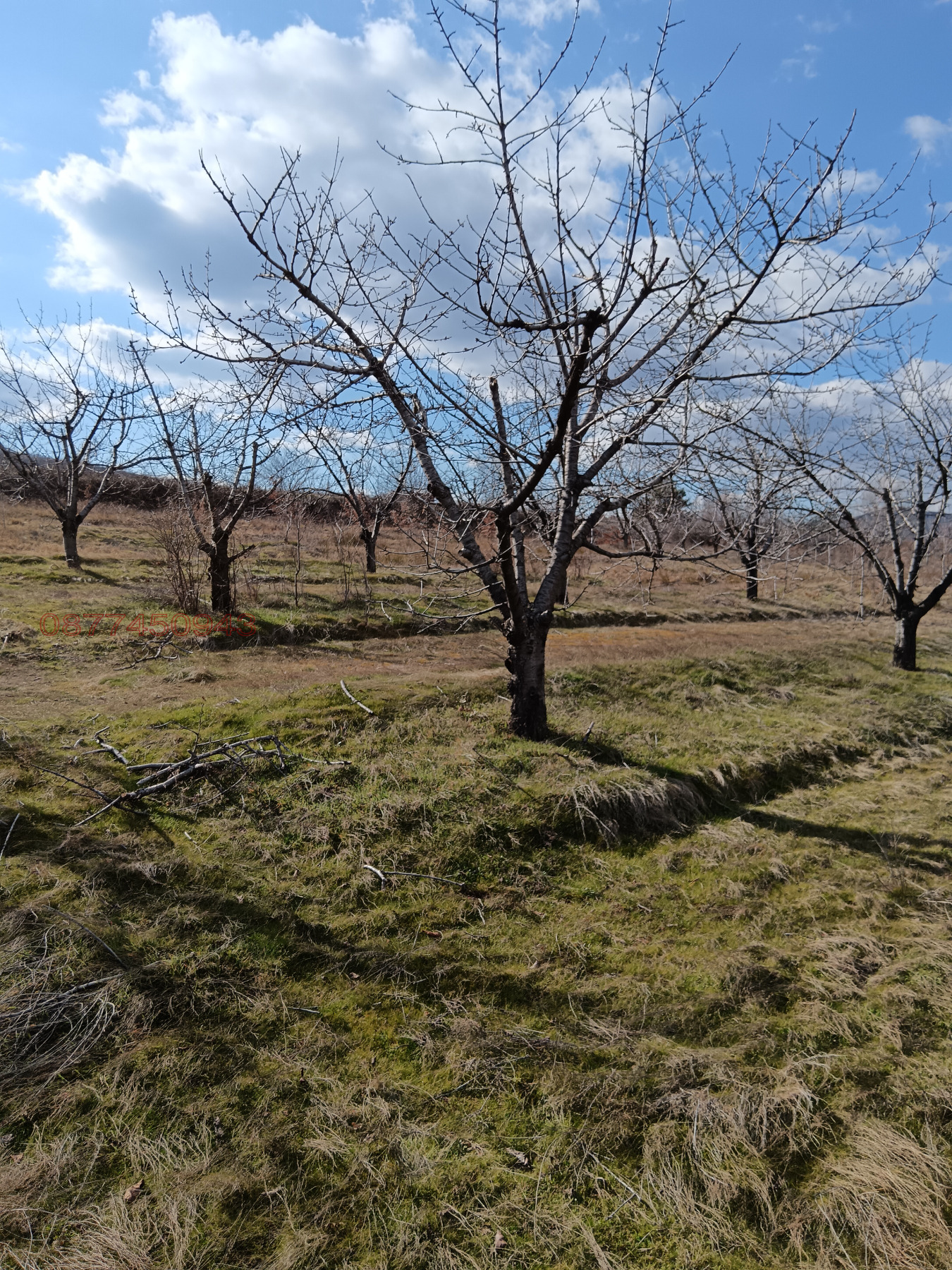 ������� ���������� ���� | Imot.bg � ����������� 1