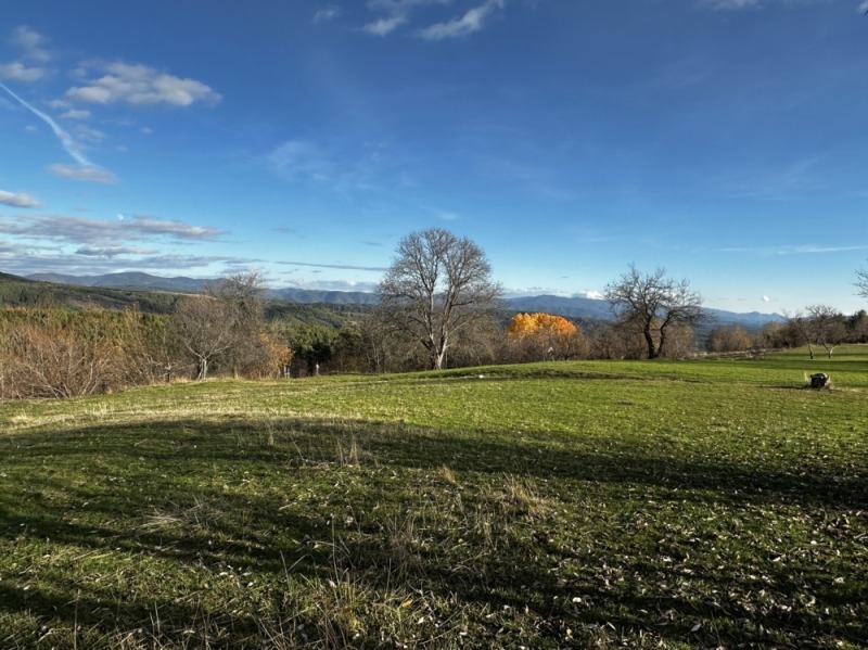 Продава ПАРЦЕЛ, с. Добърско, област Благоевград, снимка 7 - Парцели - 50654932